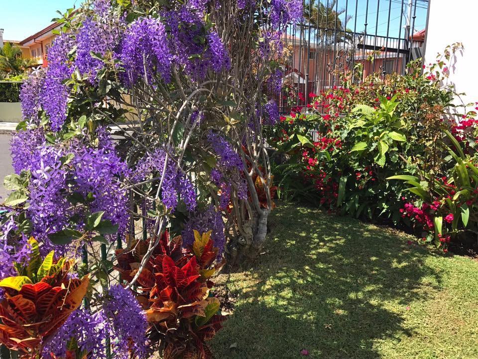 Casa Kibi Kibi Hotel San José Kültér fotó